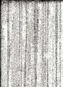 6004 2
