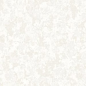 1504 1