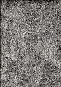9004 3