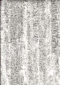 Image 16