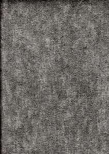 Image 30