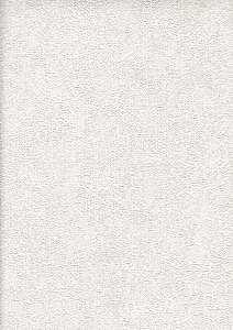 Image 31