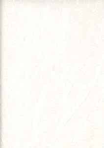 Image 31