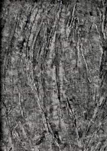 Image 32
