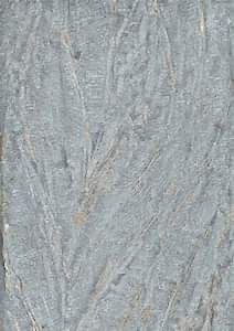 Image 36