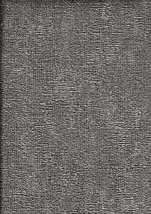 Image 38