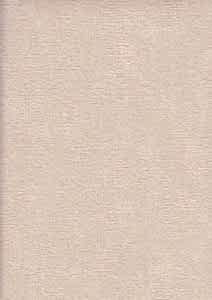 Image 39