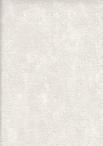 Image 43