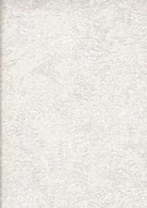 Image 45