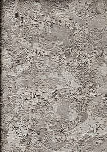 Image 50