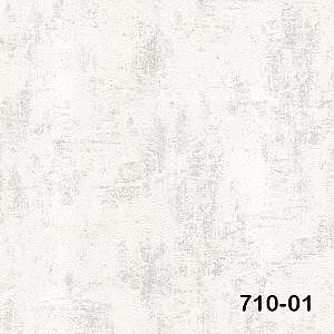 Image 51