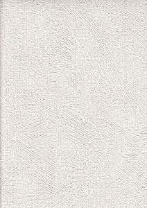 Image 51