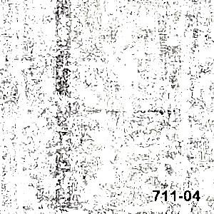 Image 58