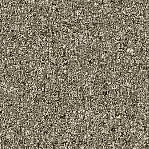 Image 62