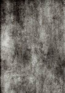 Image 72