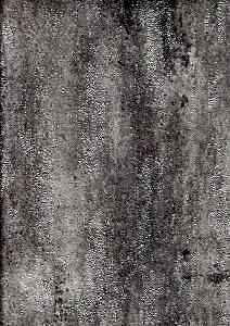 Image 75