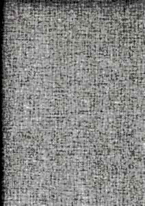 Image 79